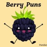 Berry Puns: 208 Fun and Playful Jokes To Brighten Your Day