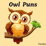 183 Hoot-Funny Owl Puns That Will Make You Laugh Out Loud