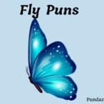 185 Hilarious Fly Puns That Will Make You Buzz with Laughter
