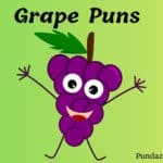 176 Hilarious Grape Puns That Will Make You Laugh Out Loud