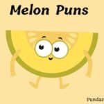 180 Hilarious Melon Puns To Brighten Your Summer Gatherings