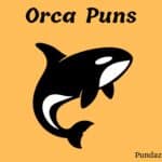 115 Fin-tastic Orca Puns and Jokes to Make a Splash
