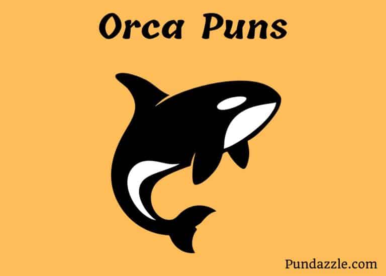 115 Fin-tastic Orca Puns and Jokes to Make a Splash