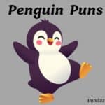 200 Hilarious Penguin Puns And Jokes To Break the Ice