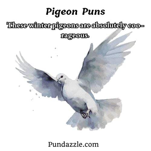  Pigeon Puns