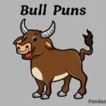 154 Hilarious Bull Puns That Will Make You Laugh Out Loud
