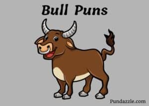 154 Hilarious Bull Puns That Will Make You Laugh Out Loud