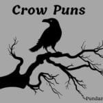 210 Hilarious Crow Puns To Spruce Up Your Conversations