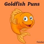 59 Adorable Goldfish Puns And Jokes: Hook Your Valentine