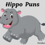 153 Hilarious Hippo Puns To Make You Laugh Out Loud