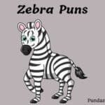 205 Hilarious Zebra Puns To Make You Laugh And Lighten the Mood