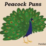 205 Hilarious Peacock Puns To Brighten Your Conversations