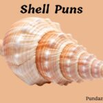 88 Shell Puns And Jokes For A Shell Of A Time
