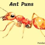 204 Funny Ant Puns That Will Make You Ant-icipate More Jokes
