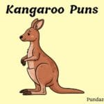 201 Hilarious Kangaroo Puns To Make You Jump with Laughter