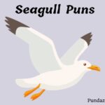 229 Funny Seagull Puns That Will Make You Laugh At The Beach
