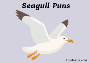 229 Funny Seagull Puns That Will Make You Laugh At The Beach