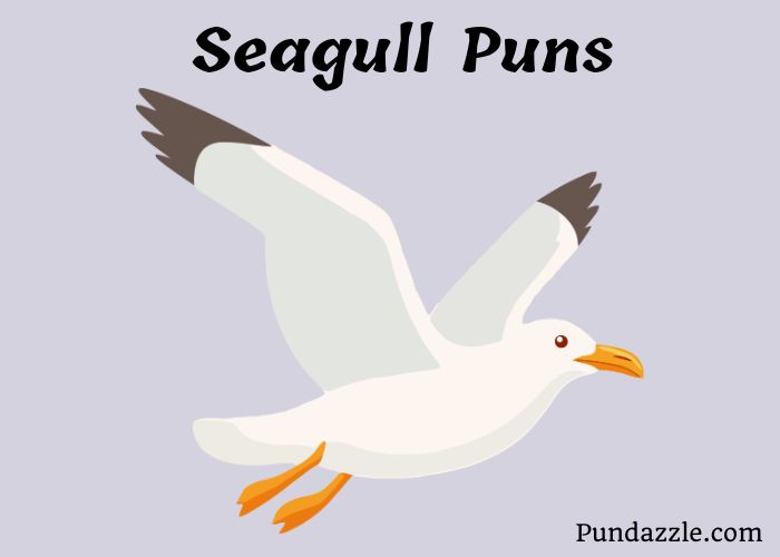 229 Funny Seagull Puns That Will Make You Laugh At The Beach